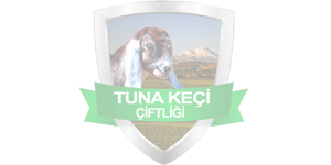 we-love-parallax-bbg